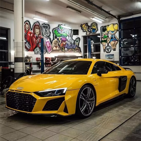 Accessoires de voiture de pièces automobiles pour Audi R8
